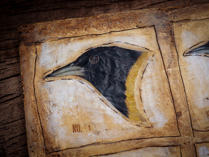 BIRD PLATE XXXV - THE ORIOLES