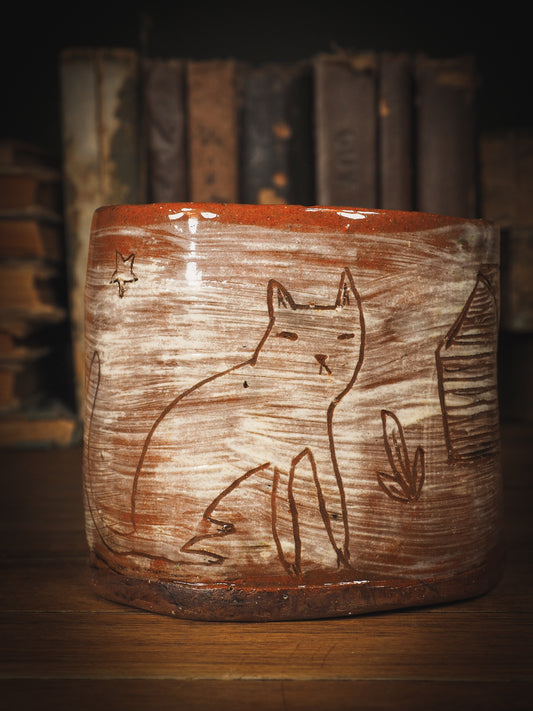 THE CAT AND THE HOUSE