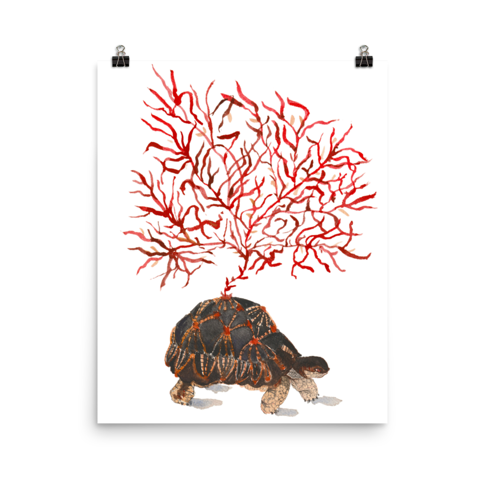 Tortoise Animal Watercolor Painting by Idania Salcido Danita Art. Did you miss you favorite painting from Idania Salcido, the artist behind Danita Art? Or maybe you are looking for something beautiful to fill a frame or hang on a wall and the original is no longer available? You can get it as a print from my shop! Printed as Museum-quality posters made on thick durable matte paper.